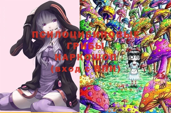 гашик Переславль-Залесский